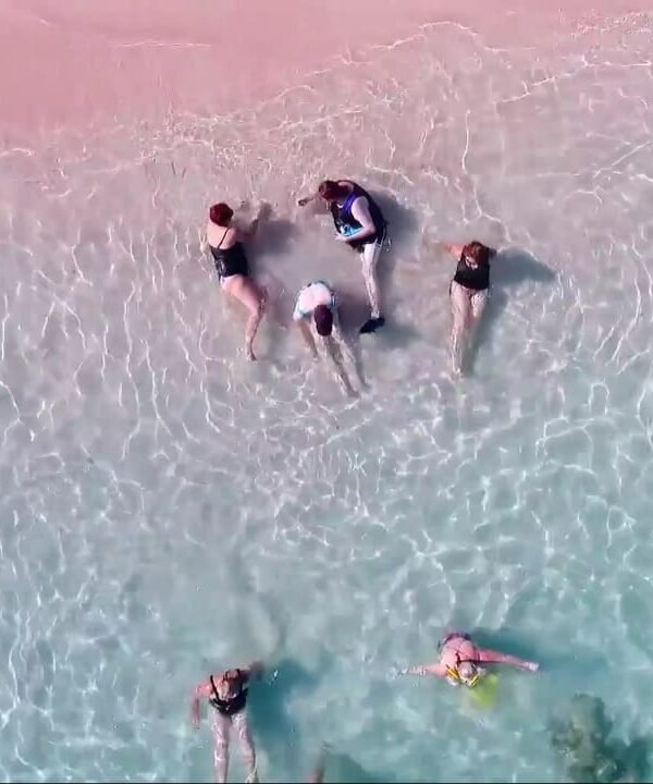 komodo island shore excursions