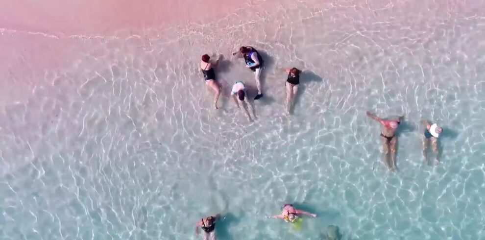 komodo island shore excursions