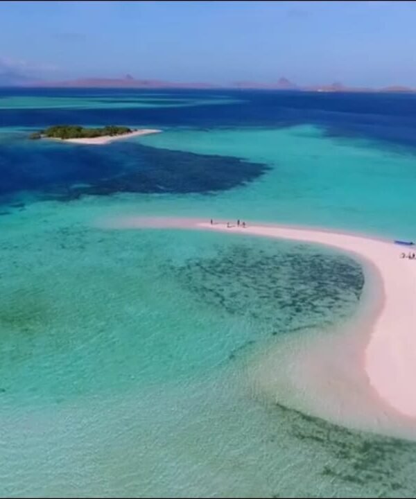 komodo day tour