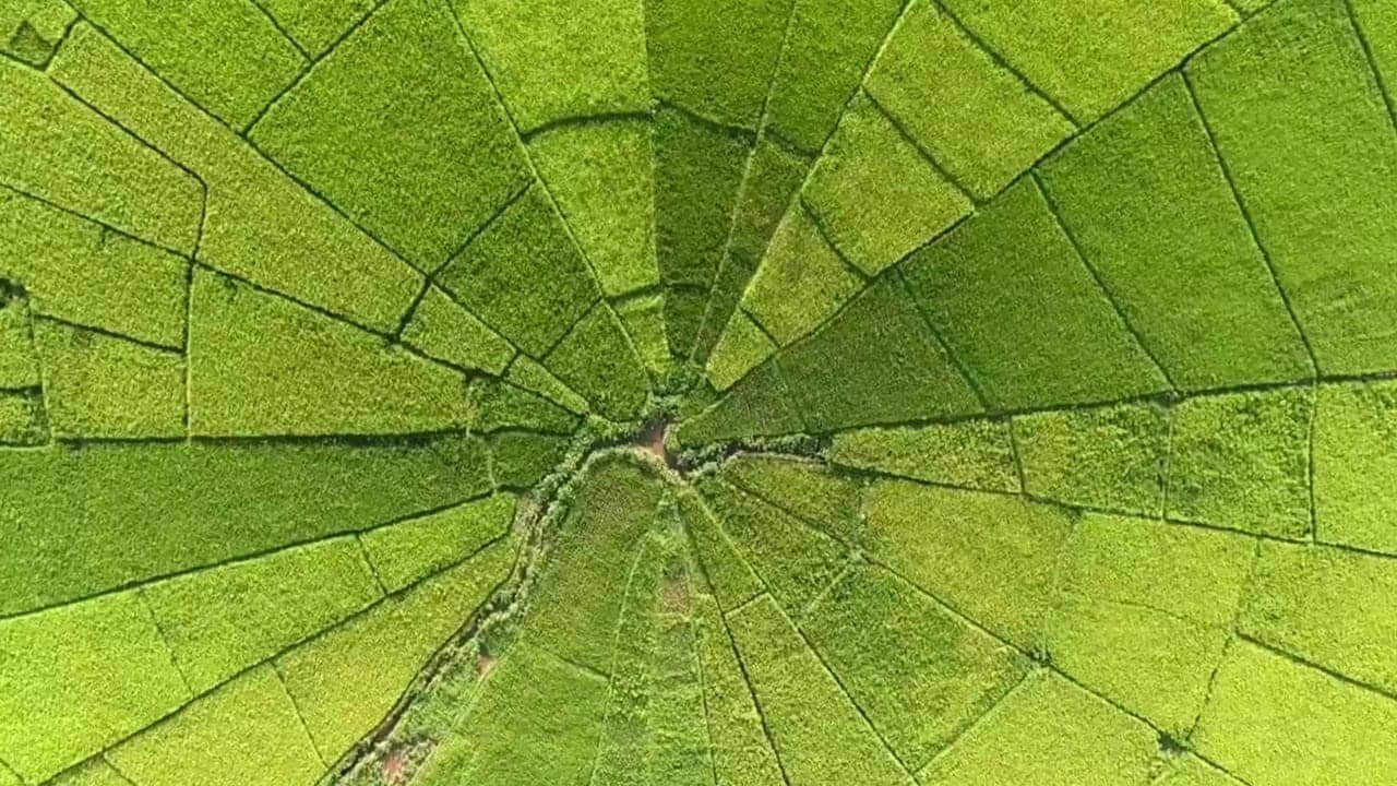 lauan bajo city tour